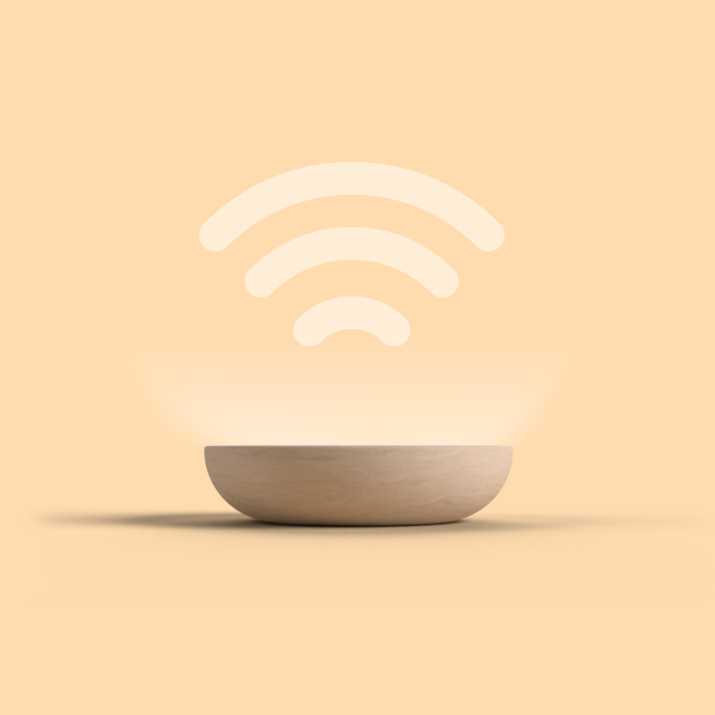 WiPass device mounted on a wall — render