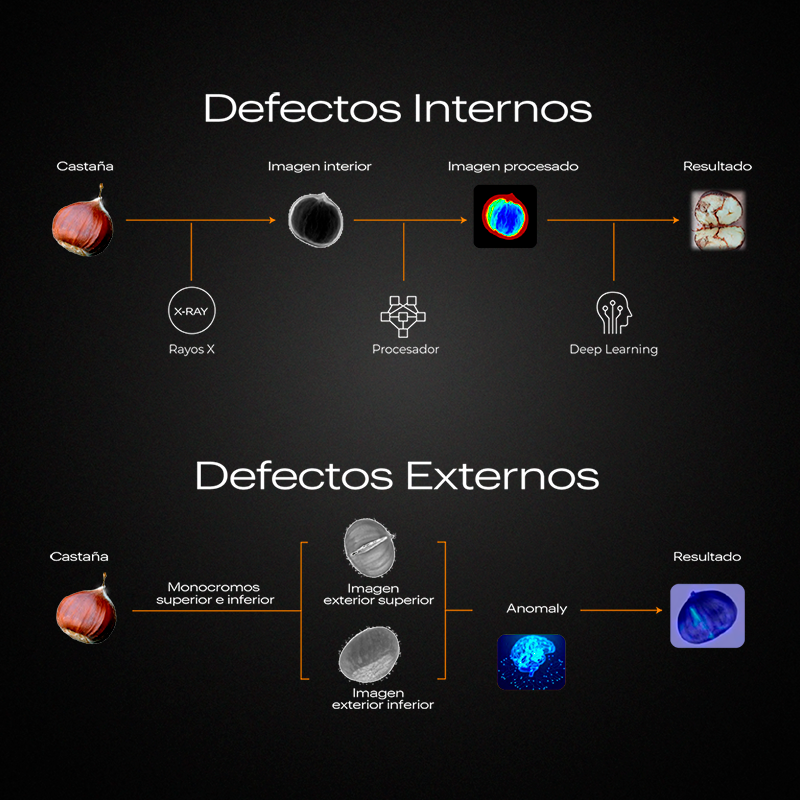 Esquema de inspección interna por rayos X y externa mediante visión artificial de castañas