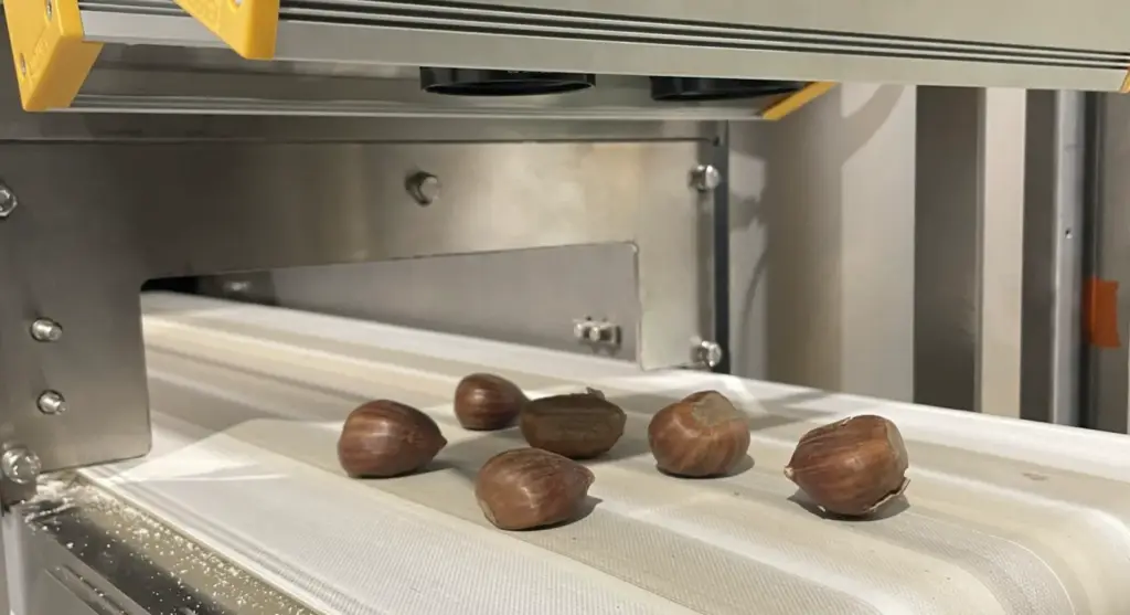 Transformando el sorting: cómo la visión artificial está revolucionando la clasificación en múltiples industrias 