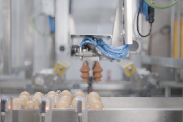 20251217_apfc2983T01