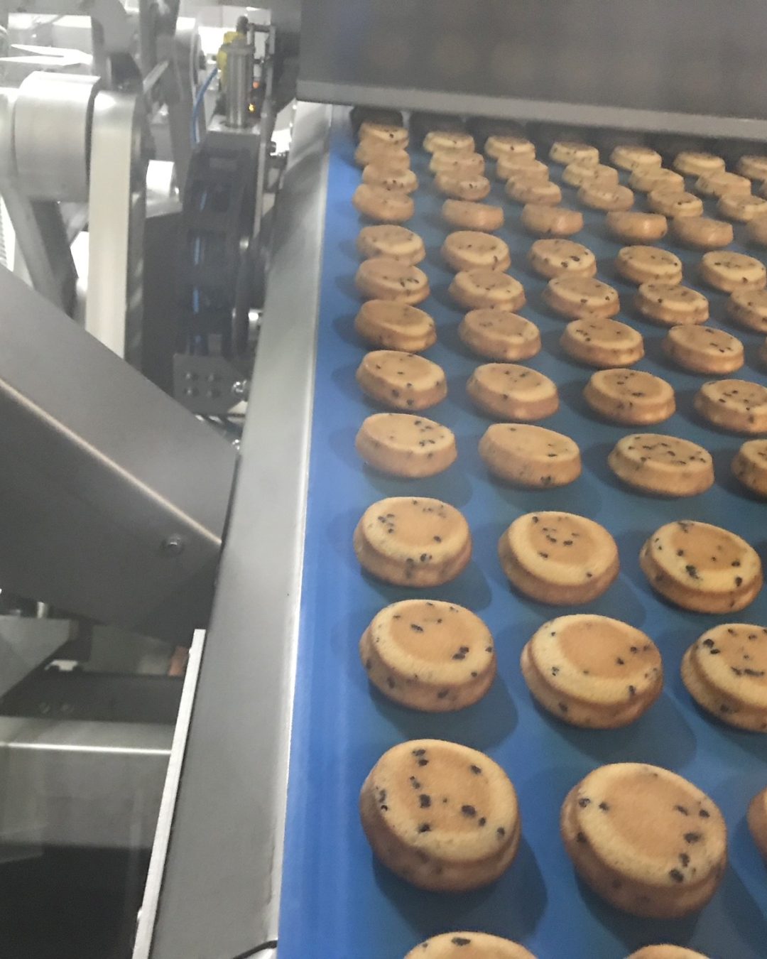 Laser Mark